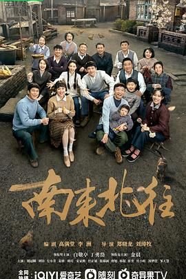 《南来北往》电视剧免费观看完整版加长版大结局 (2024) 海报