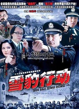 《《雪豹行动》电视剧免费观看全集高清完整版在线播放》2011 海报